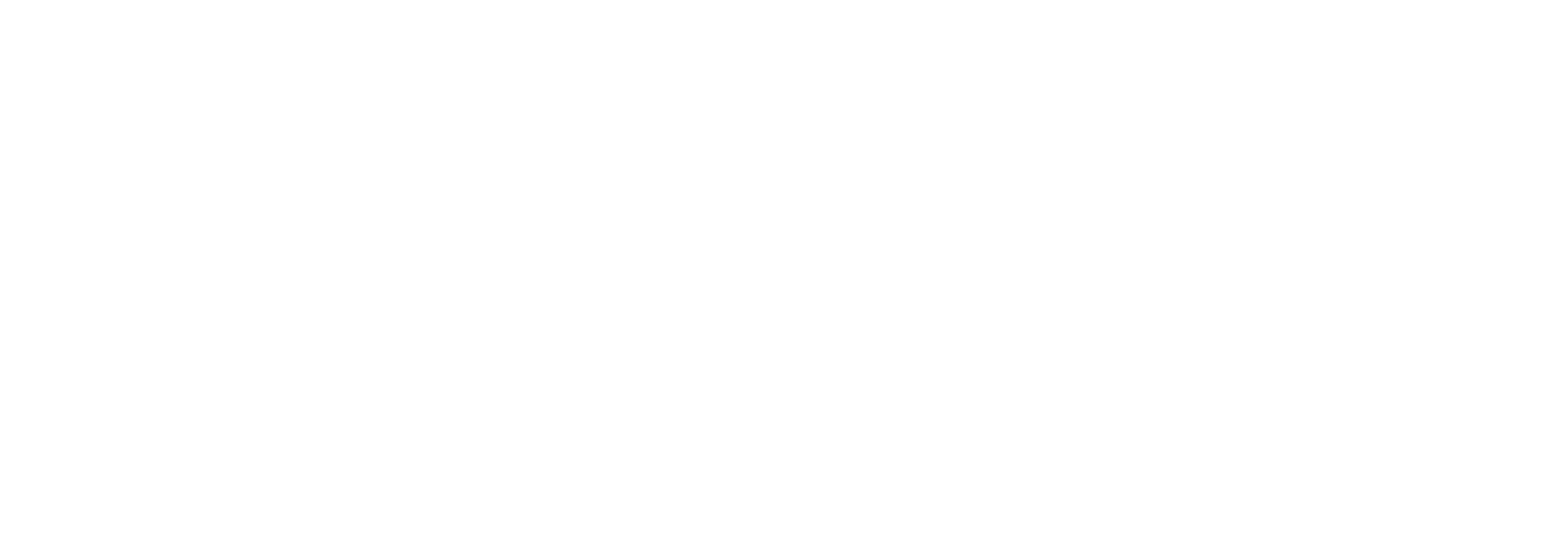 WordPress Partners